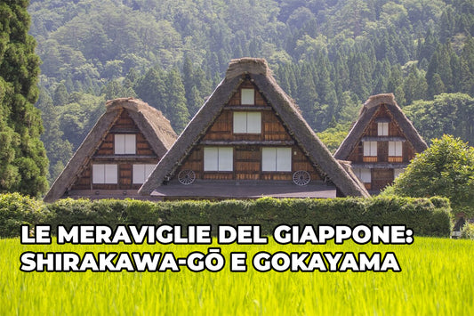 Le Meraviglie del Giappone: Shirakawa-gō e Gokayama