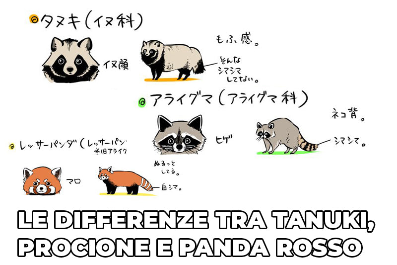 Il tanuki
