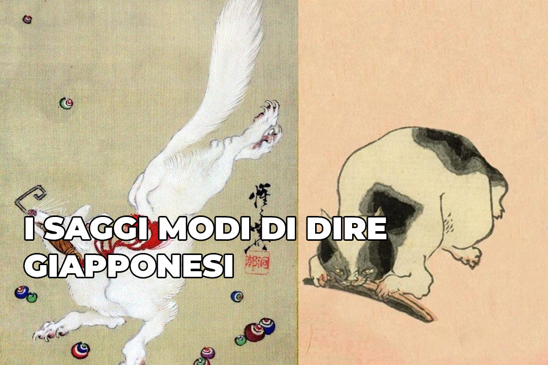 APPROFONDIMENTO - COLLEZIONE KOTOWAZA