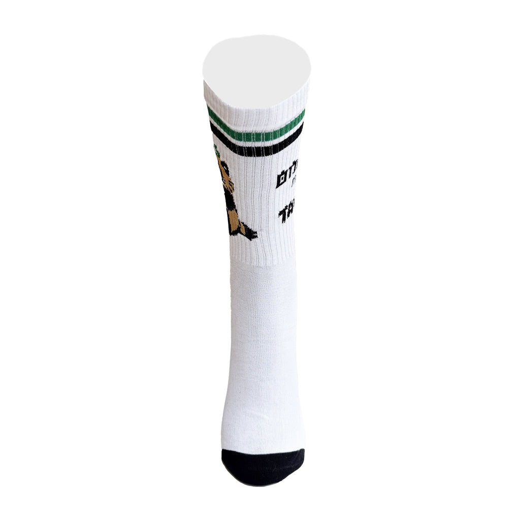 TANUKI x ONIGIRI MANIA SOCKS