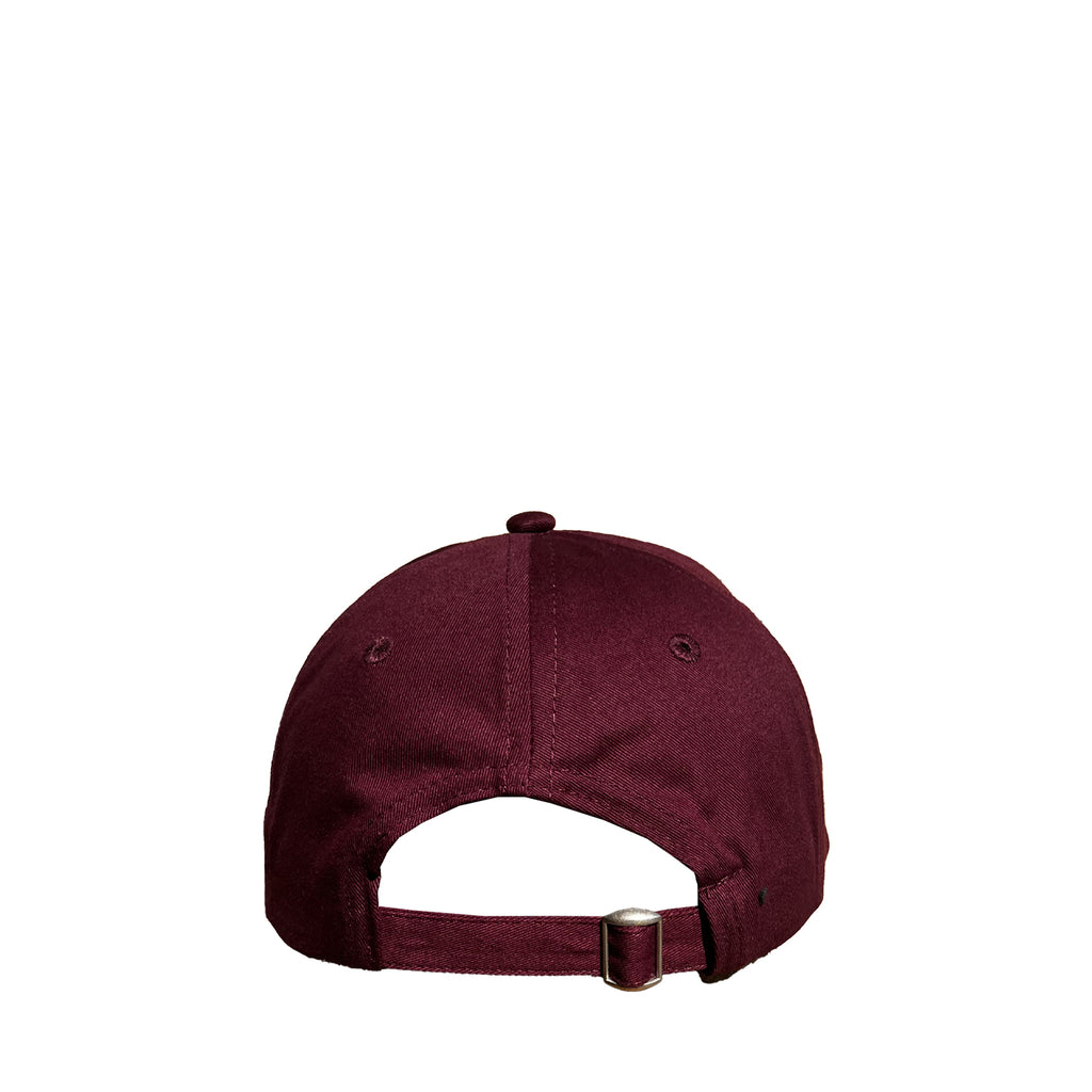 TANUKI CAPS BASEBALL LOGO