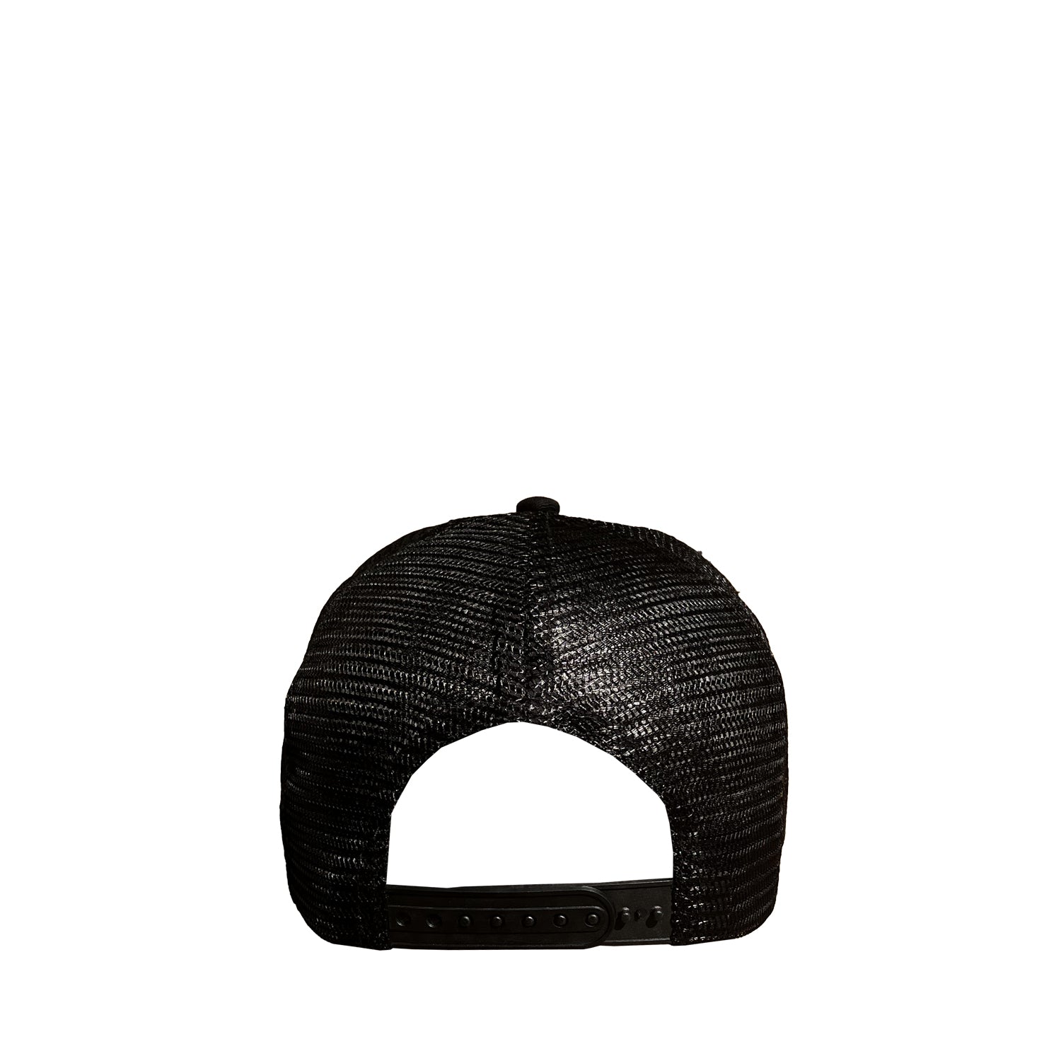 TANUKI CAPS TRUCK LOGO